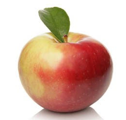 Zestar Apple semi-dwarf (single bare root)