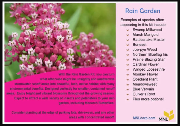 Native Plant Kit - Rain Garden