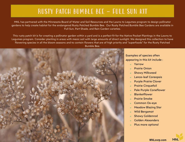 Native Plant Kit - Rusty Patch Bumble Bee