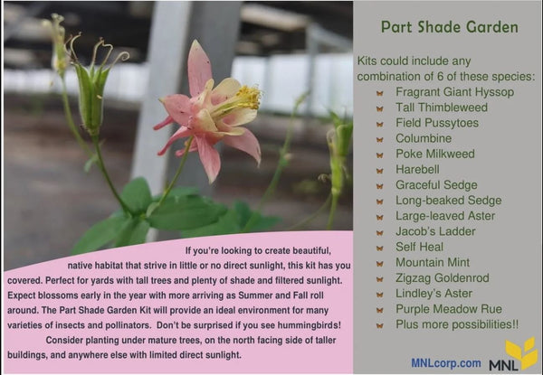 Native Plant Kit - Part Shade Garden