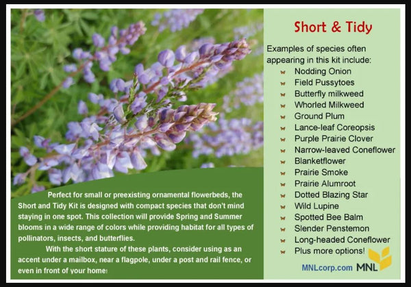 Native Plant Kit - Short & Tidy