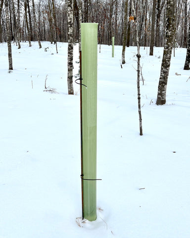 Tree Tubes 4 foot - Sold Individually